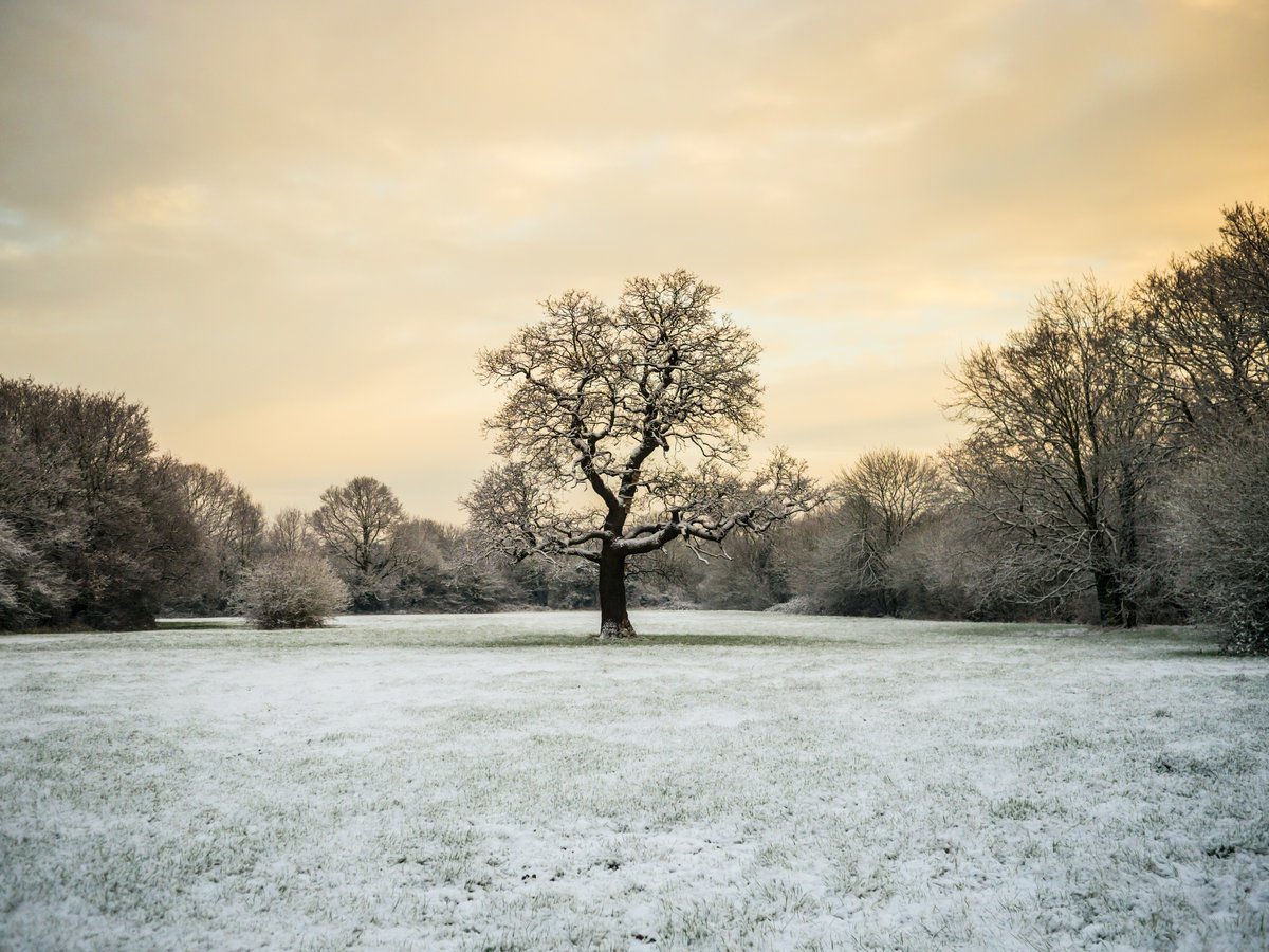 Freezing temperatures forecast to return with lows of -1C in Arctic blast on the way