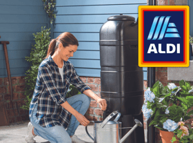 Aldi launches new spring garden range for limited time only with trendy wellies for just £9.99 - how to buy