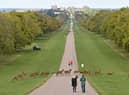 King Charles III is making some major changes to make Windsor Castle more environmentally friendly.
