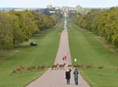 King Charles III is making some major changes to make Windsor Castle more environmentally friendly.