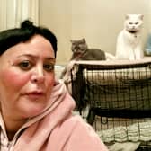 A woman claims she can only afford one meal a WEEK - as she spends most of her money feeding her cats. Yasemn Kaptan  / SWNS
