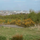 The poor animal was found dead by passers-by at a park in Wirral, Merseyside - Credit: GFA and Google Streetview