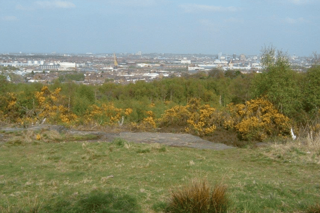 The poor animal was found dead by passers-by at a park in Wirral, Merseyside - Credit: GFA and Google Streetview