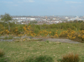 The poor animal was found dead by passers-by at a park in Wirral, Merseyside - Credit: GFA and Google Streetview