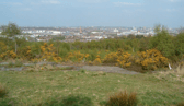 The poor animal was found dead by passers-by at a park in Wirral, Merseyside - Credit: GFA and Google Streetview