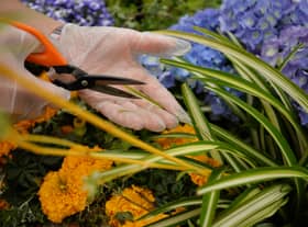 Keep these rules and regulations in mind before heading out into your garden.