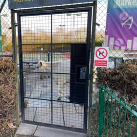 The cow spent more than 10 hours ‘behind bars’.