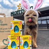 Morrison recently relesed their Easter pet range 