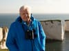 David Attenborough TV shows - Best documentaries and how to watch them for free