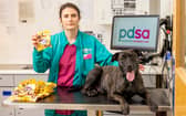 PDSA Veterinary Surgeon Team Leader Clare Sparks with Charlie and a kilo of Mini Eggs at PDSA in Bournemouth
