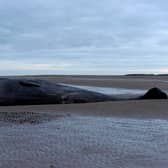 A marine life charity received calls about a stranded sperm whale (not pictured) on a beach at Cleethorpes at around noon on Good Friday. 