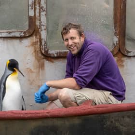 Penguin Spike is pictured with keeper Alistair Keen 