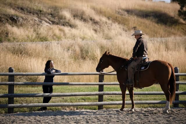 Cowson These are the Top 10 ‘cowboy culture’ phrases often used in the UK