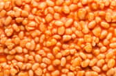 Baked beans are one of the UK's most popular products 