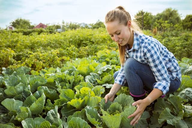 Making your garden more eco-friendly (photo: adobe)