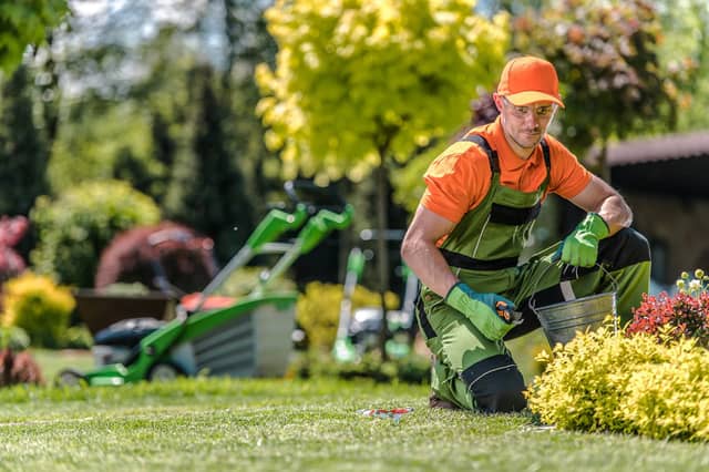 Grow your own to cut food costs (photo: adobe)