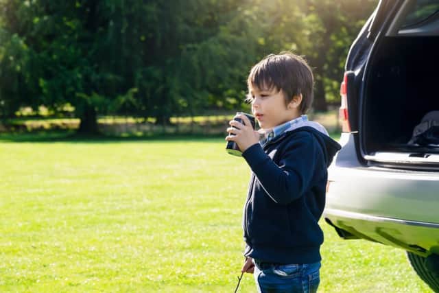 Give children water instead of fizzy drinks for long car journeys (photo: adobe)