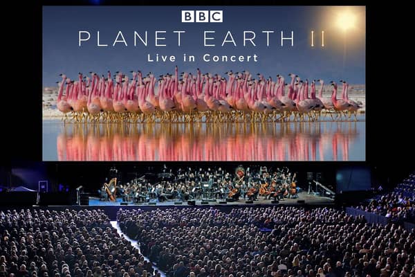 Planet Earth II Live on tour (photo: Justin Anderson Copyright BBC NHU 2016)