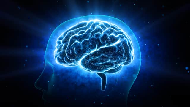 Scientists saw an increase in a certain type of brain wave in the 30 seconds before and after the patient’s final heartbeat (Photo: Adobe)