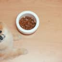 What kind of food can humans share with dogs? Some cupboard staples you can use to improve your pet's diet