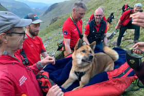 The dog was "positively regal" while being carried down England's highest peak