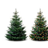 Eco-friendly ways to dispose of your Christmas tree (photo: Shutterstock)