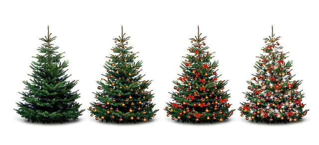 Eco-friendly ways to dispose of your Christmas tree (photo: Shutterstock)