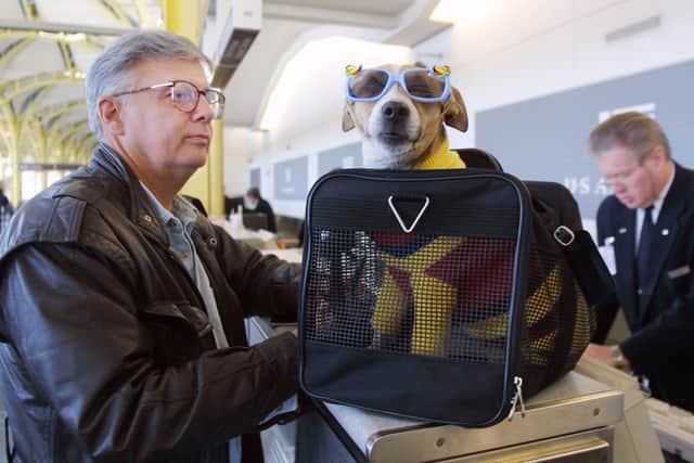 A UK private jet company is offering an exclusive flight experience for pets and their owners