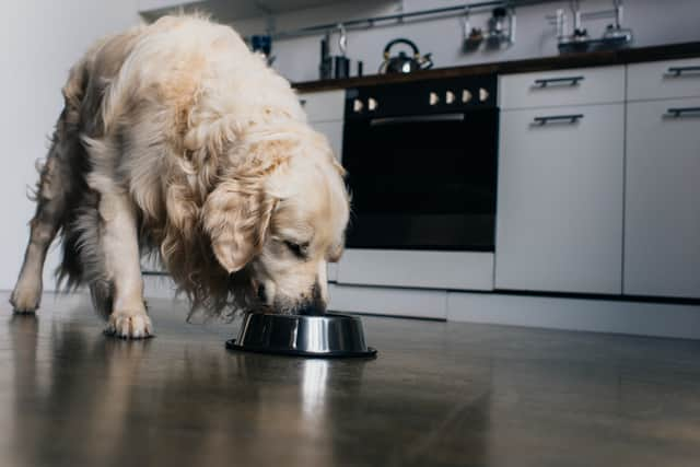 Dog owners are being warned that raw dog foods could be poisonous