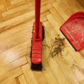 How to remove problem pine needles (photo: Shutterstock)