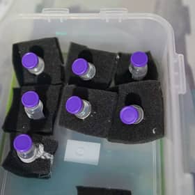 More than 30m people to receive booster Covid jabs starting next month (Photo by Ian Forsyth/Getty Images)
