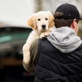 Environment Secretary George Eustice said there has been a “worrying” rise of pet thefts during the Covid pandemic, but said the creation of the pet theft taskforce will help deal with the issue (Photo: Shutterstock)