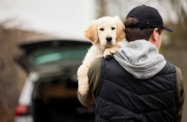 Environment Secretary George Eustice said there has been a “worrying” rise of pet thefts during the Covid pandemic, but said the creation of the pet theft taskforce will help deal with the issue (Photo: Shutterstock)