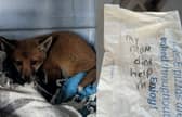 The fox cub was discovered in the village of Langley Moor, Durham in a carrier bag.  Inside there was also a message penned on the back of a paper Greggs bag.