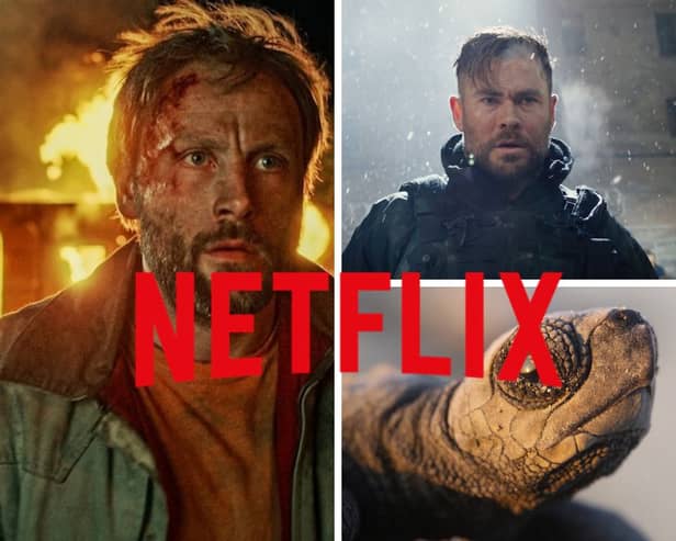 Here are 8 of the best new releases on Netflix this week in June.