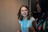 Environmental campaigner Greta Thunberg will be at the Edinburgh Playhouse Theatre on Sunday, August 13, at 5.30pm talking about her book 'It's Not Too Late to Change the World'.