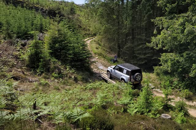 The trail included gentle stretches and more technical elements (Photo: Matt Allan)