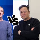 Dana White, the president of the Ultimate Fighting Championship, said Elon Musk and Mark Zuckerberg were “absolutely dead serious” about their upcoming cage fight. 