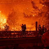 Evacuations started in Corfu from Sunday (23 July) due to the Greece wildfires. Image: Getty