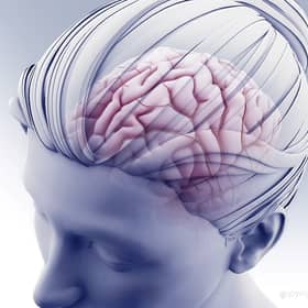 Alzheimer’s disease: New vaccine ‘could reduce or prevent’ impact of illness and ‘eliminate toxic cells’ 