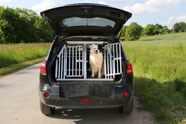 A few simple tips can ensure that your dog stays well when out on the road.