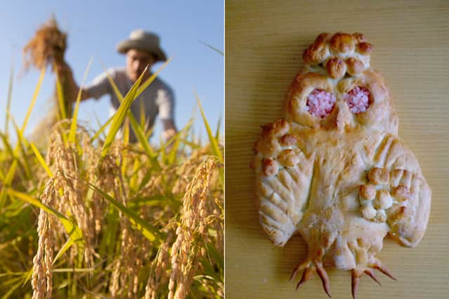 Lammas Bread is an integral part of the customs observed in the festival. Some were modelled into special shapes and used as part of rituals that sought to bless farmers’ premises and keep them safe from evil spirits. 