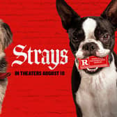 Strays is hitting cinemas in August. Cr: Universal Pictures.