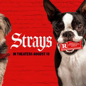 Strays is hitting cinemas in August. Cr: Universal Pictures.