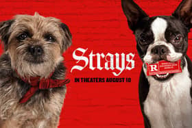 Strays is hitting cinemas in August. Cr: Universal Pictures.