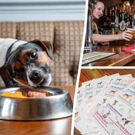 The Bellflower in Preston, Lancashire, won the accolade of the official best pub for dogs in the UK