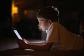 Parents have expressed concerns about their children using iPads in the classroom Credit: Christopher Furlong/Getty Images