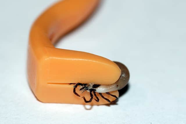 Many pharmacies or outdoor specialist stores can sell special tick removal tools that are essential for seamlessly removing the parasites. Note: they are not very expensive.
