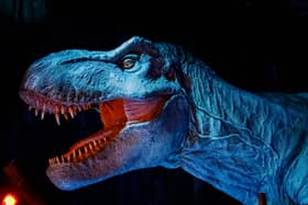 How does each Jurassic Park movie rank over the years? Cr: Getty Images