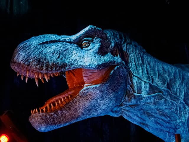 How does each Jurassic Park movie rank over the years? Cr: Getty Images